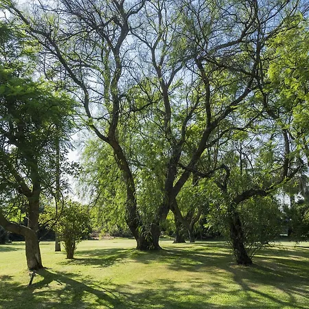 Del Parco * Agnone Bagni