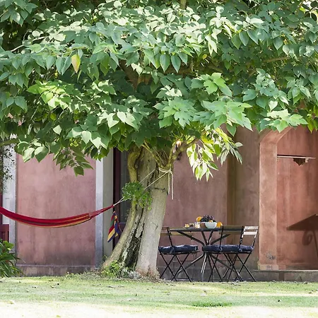 ヴィラ Del Parco アニョーネ・バーニ